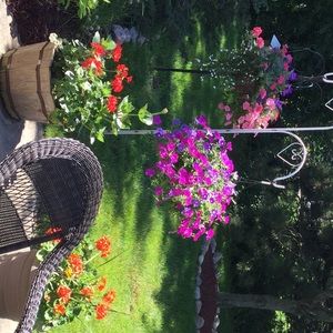 Meet your Posher, Carol